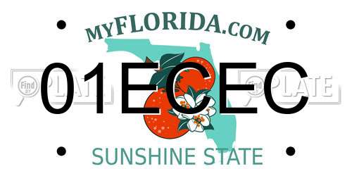 01ECEC Florida License Plate