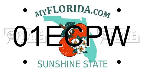 01ECPW Florida License Plate