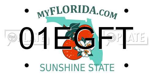 01EGFT Florida License Plate