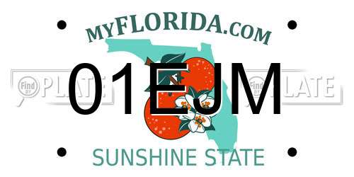 01EJM Florida License Plate