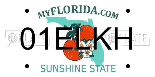 01ELKH Florida License Plate