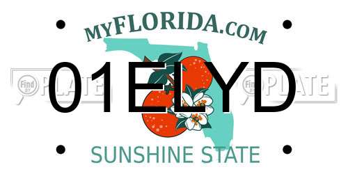 01ELYD Florida License Plate
