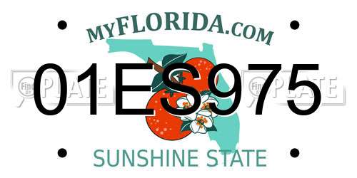 01ES975 Florida License Plate