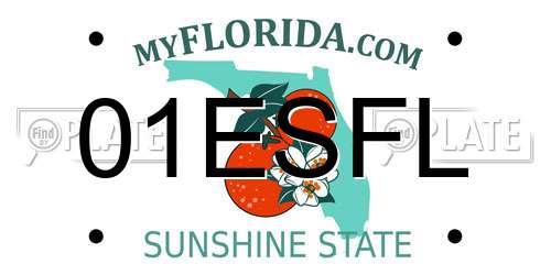 01ESFL Florida License Plate