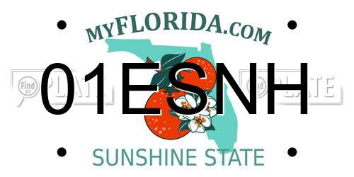 01ESNH Florida License Plate