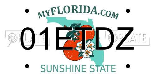 01ETDZ Florida License Plate