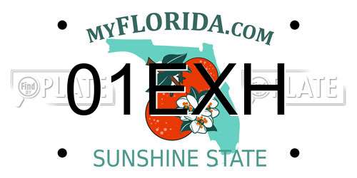 01EXH Florida License Plate