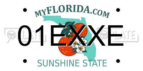 01EXXE Florida License Plate