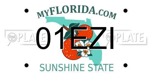 01EZI Florida License Plate