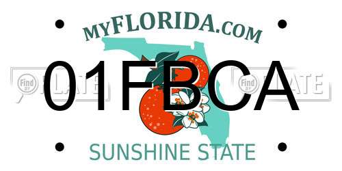 01FBCA Florida License Plate