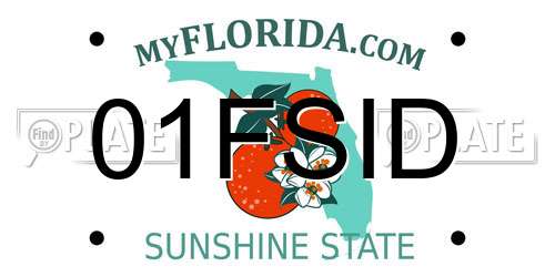 01FSID Florida License Plate