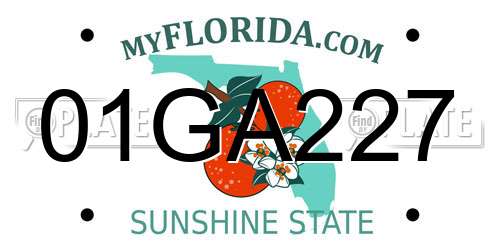 01GA227 Florida License Plate