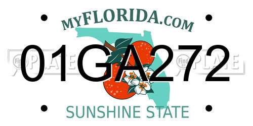01GA272 Florida License Plate