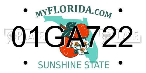 01GA722 Florida License Plate