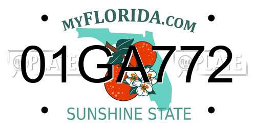 01GA772 Florida License Plate