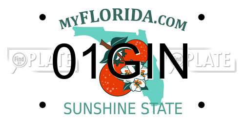 01GIN Florida License Plate