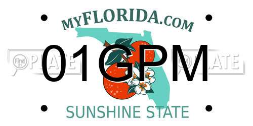 01GPM Florida License Plate