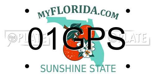 01GPS Florida License Plate