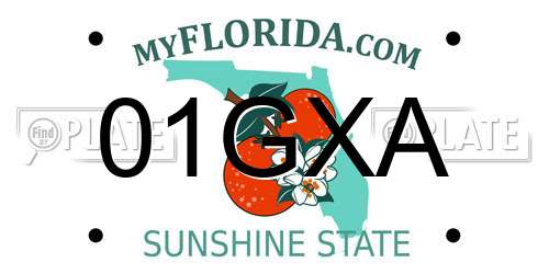 01GXA Florida License Plate