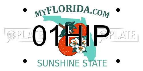 01HIP Florida License Plate