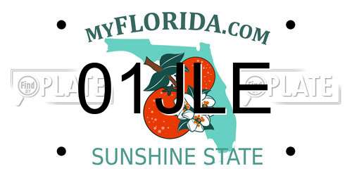 01JLE Florida License Plate