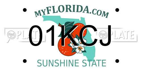 01KCJ Florida License Plate