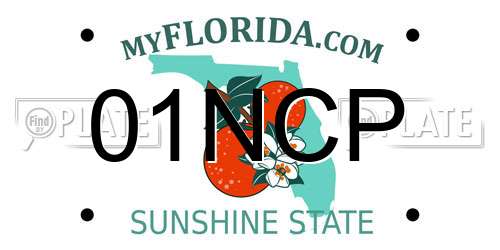 01NCP Florida License Plate