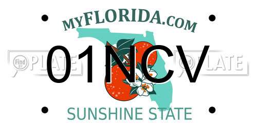 01NCV Florida License Plate