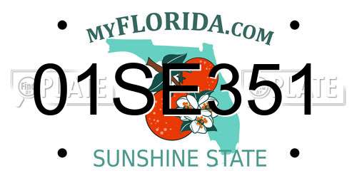 01SE351 Florida License Plate