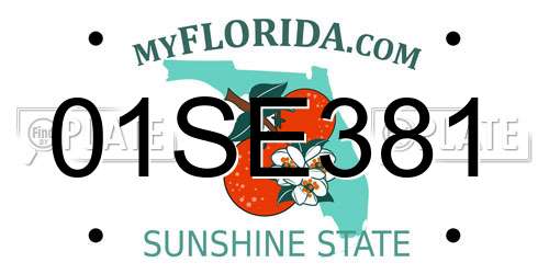 01SE381 Florida License Plate