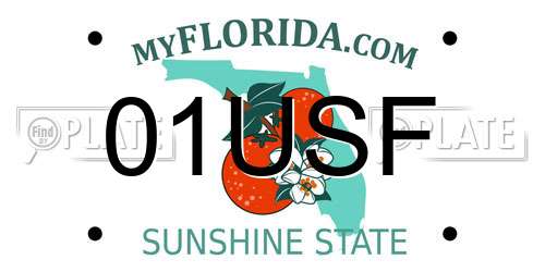 01USF Florida License Plate