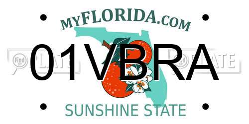 01VBRA Florida License Plate