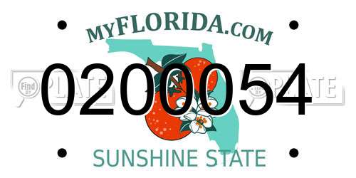 0200054 Florida License Plate