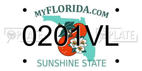 0201VL Florida License Plate