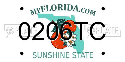 0206TC Florida License Plate
