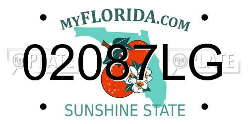 02087LG Florida License Plate