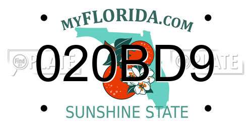 020BD9 Florida License Plate