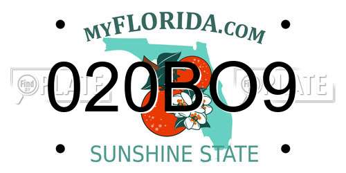 020BO9 Florida License Plate