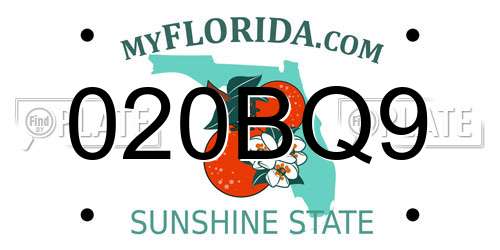 020BQ9 Florida License Plate
