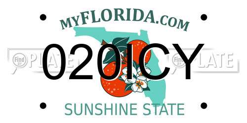 020ICY Florida License Plate