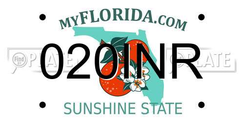 020INR Florida License Plate