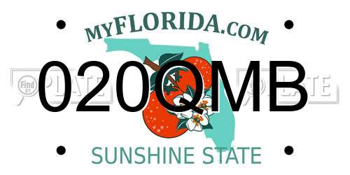020QMB Florida License Plate