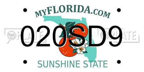 020SD9 Florida License Plate