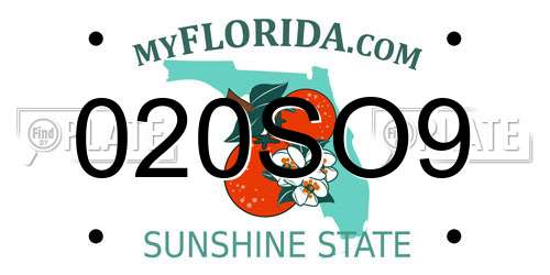 020SO9 Florida License Plate