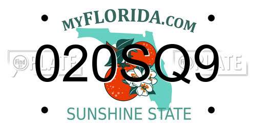 020SQ9 Florida License Plate