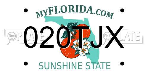 020TJX Florida License Plate