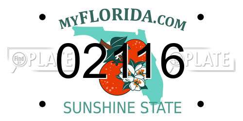 02116 Florida License Plate