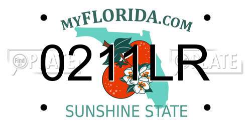 0211LR Florida License Plate