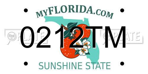 0212TM Florida License Plate