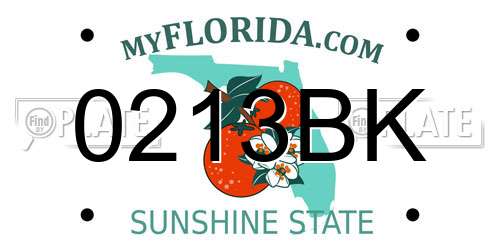 0213BK Florida License Plate
